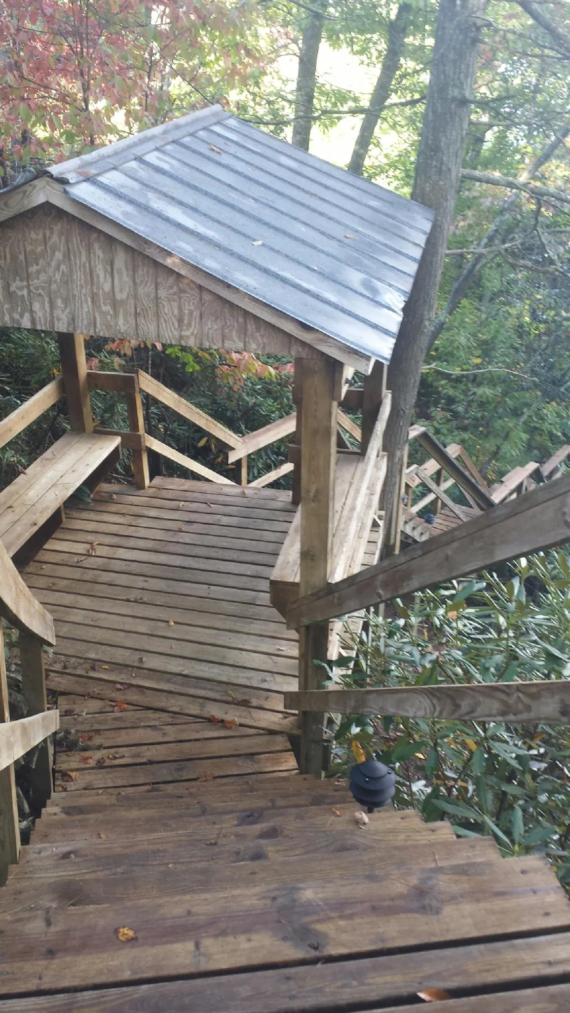 Metal roofed shelter over wooden steps on a wooded walkway — Skylight Repair & Installation work by our crew in Zapata